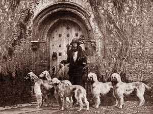 AFGHANISCHER HUND CHARMANTER HUND GRÜSSE NOTIZKARTE SCHÖNE GRUPPE VON HUNDEN MIT DAME - Bild 1 von 1