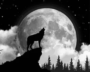 Malen nach Zahlen Holzrahmen Wolf und Mond - Bild 1 von 12