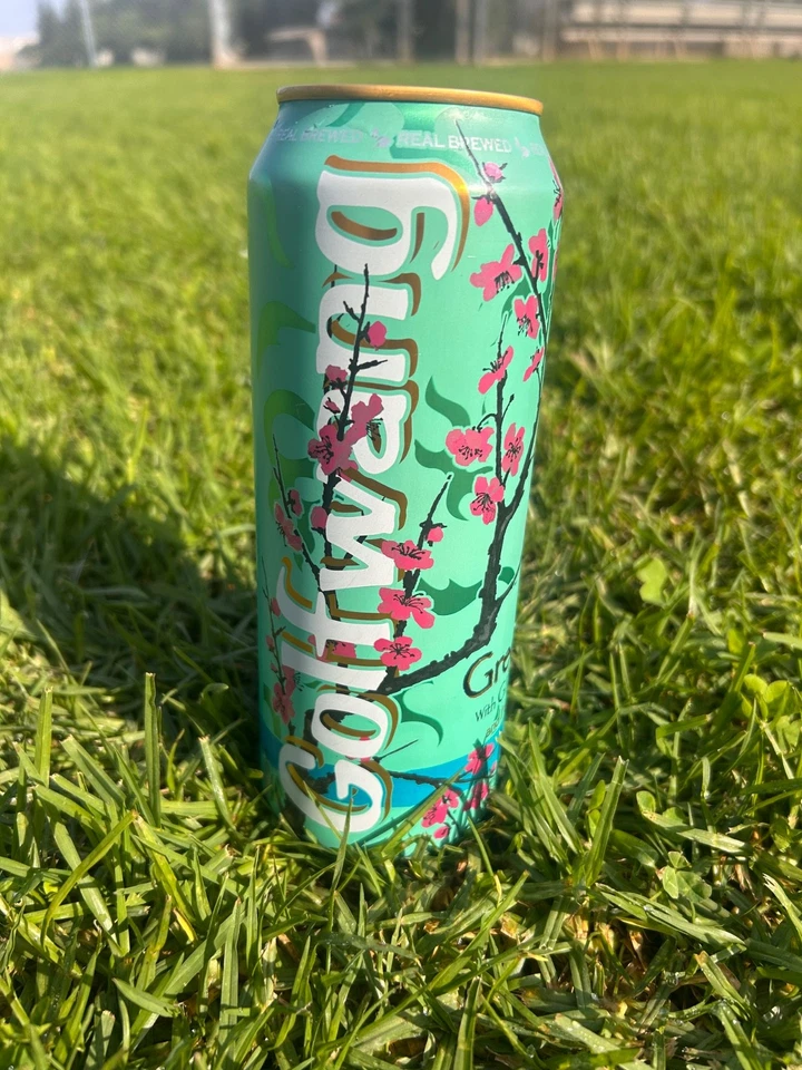 Golf Wang x AriZona Green Tea Can (Tyler the Creator) New