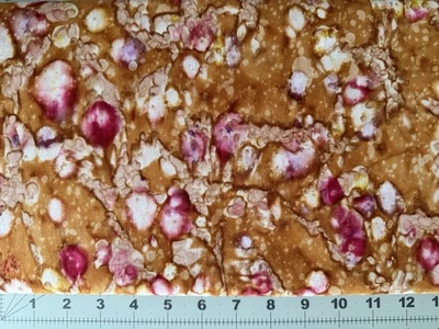 Moda Jungle Rain Batiks 100% cotton batik by half-yard 4212 14 multi color - Image 1 of 2