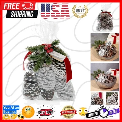 Preciosas piñas decorativas con aroma de hoja perenne - perfectas para Acción de Gracias Foto 1 de 4