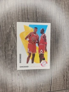 1991-92 SkyBox #462 Michael Jordan/Scottie Pippen TW - Bild 1 von 2