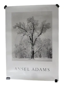VINTAGE 1984 ANSEL ADAMS Oak Tree Snowstorm Authorized Yosemite Valley Poster - Picture 1 of 7