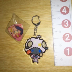 ¡Show by Rock A69884!! Llavero de acrílico SB69 SANRIO + insignia de alfiler Plasmagica Moa - Imagen 1 de 4