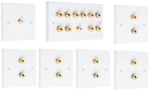 5.1 Wall Face Plate KIT 10 Terminal Binding Posts + 1 RCA - Picture 1 of 24