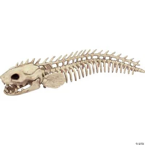 19 1/2" Skeleton Eel Prop - Picture 1 of 4