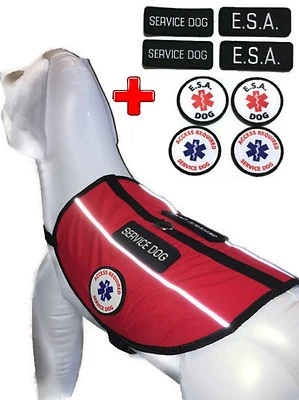 Service Dog Harness Support Animal Dog ESA Vest with Patches ALL ACCESS CANINE™ - Image 1 of 4