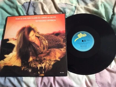 Dead Or Alive That’s The Way (I Like It) 12” Vinyl Picture Cover B/W Do It - Image 1 of 4
