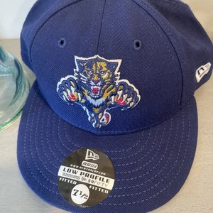 Cappello berretto vintage Florida Panthers basso profilo aderente nuova epoca taglia 7 1/2 - Foto 1 di 13