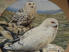 The Majesty Of Owls SNOWY OWLS Danbury Mint Wedgwood Collectors Plate