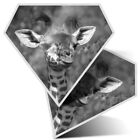 2 x Diamond Stickers 10 cm BW - Funny Baby Giraffe African Animal  #36680