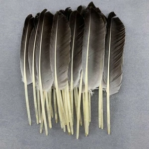 100pz Piume Fagiano Naturali 25-30CM Penna Anatra Tipo Rotondo Gioielli Fai Da Te - Foto 1 di 12