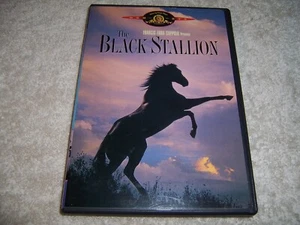 The Black Stallion DVD - Picture 1 of 2