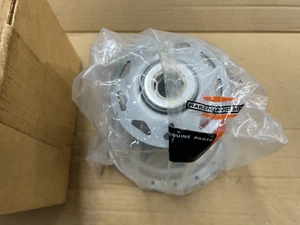 HARLEY AERMACCHI AMF NOS 41012-76P REAR HUB ASSEMBLY  74 75 76 78 SX SS 175 250 - Picture 1 of 4