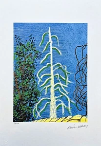 DAVID HOCKNEY - The Yosemite suit no. 14 - signed, numbered edition 60/500 - Picture 1 of 4