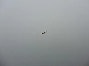 Unruhwelle für LANCO 24, 524, balance staff - Picture 1 of 1