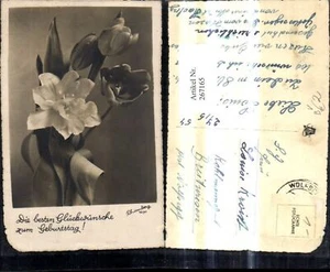 267165,Foto Ak Blumen Tulpen erblüht Geburtstag pub Rhomberg 1071 - Bild 1 von 1