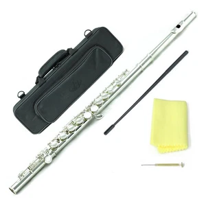 Kit de limpieza de estuche de flauta de orificio cerrado de níquel aprobado por SKY Band soporte de etiqueta de nombre gratuito - Imagen 1 de 4