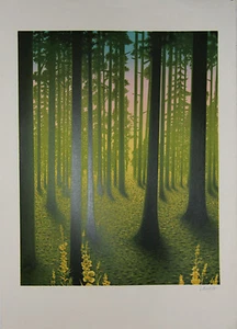 Daniel SCIORA - Estampe originale - Lithographie signée - Lumière de la forêt - Imagen 1 de 2