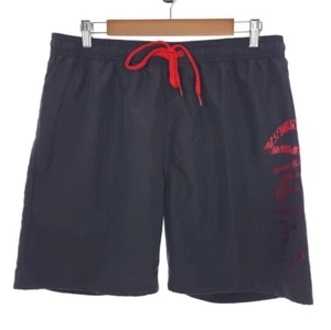 Speedo Gray Red Swim Trunk Iner Mesh Mens Size Large - Picture 1 of 9