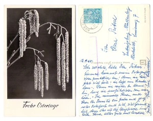 98955 - Flores de abedul - Feliz Pascua - Postal, usada el 13.4.1960 - Imagen 1 de 1