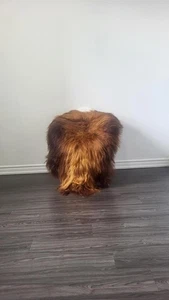 Großer Island Lammfell Teppich | Lammfellteppich | weiche seidige lange Wolle #C839 - Bild 1 von 9