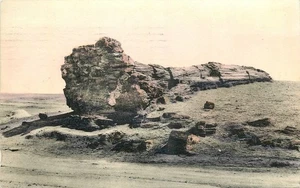 1932 Adamana Arizona Big Log Rainbow Forest HC Albertype Postcard 25-9709 - Picture 1 of 2
