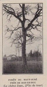 1923 -- FORET DU HAUT JURE PRES DE BAR LE DUC MEUSE U041 - Foto 1 di 1