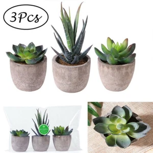 3stk/SET Kunstpflanze Künstliche Pflanze Sukkulente Glas Dekopflanze Tischdeko - Bild 1 von 9