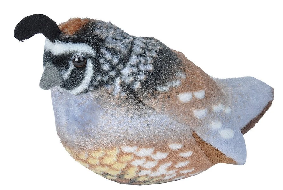 CALIFORNIA QUAIL Audubon Bird with call PLUSH stuffed animal Wild Republic doll - Image 1 of 1