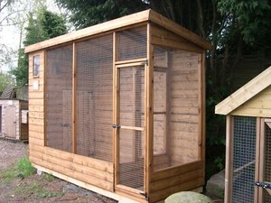 cheap aviaries