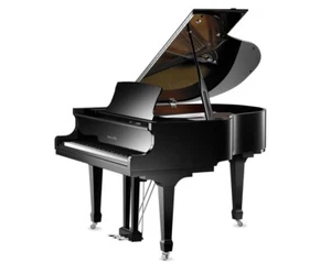 GP160SP Ebony Polish Pearl River Grand Piano w/ Bench - ASSEMBLED & DELIVERED - Picture 1 of 1