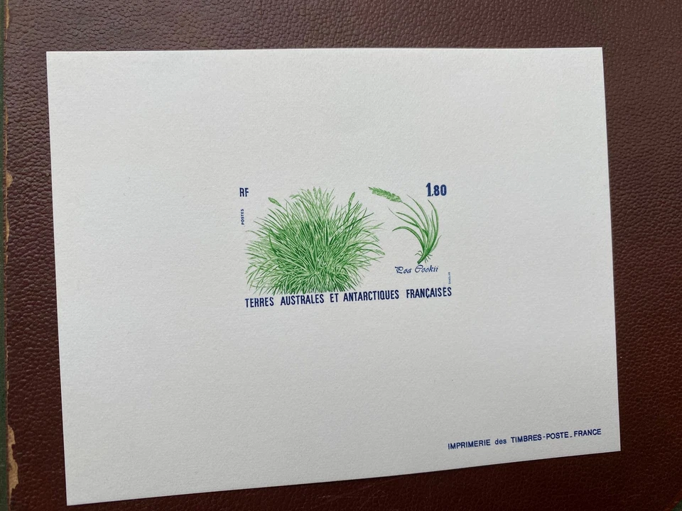 TAAF Luxury Proof 125 Foto 1 de 1