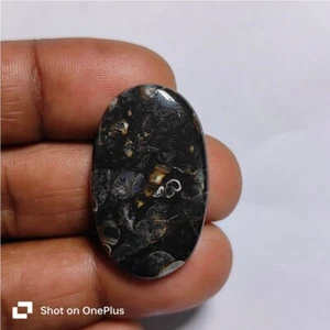 Turtella Stone Natural Brown Turtella Cabochon Loose Gemstone 28 Cts. ME-9760 - Picture 1 of 6