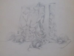 Original Art by Julia Lichtenheld - (animal, reseller, medium, realism, US) - Picture 1 of 2