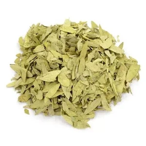 Organic Herbal Senna Leaves Dried Cut Leaf  Senna Alexandrina  Hojas de Sen - Picture 1 of 7