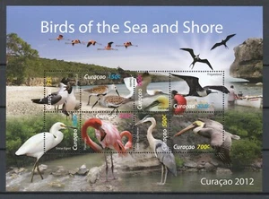 CURAÇAO 2012 - KUST- EN ZEE-VOGELS / BIRDS OF THE SEA AND SHORE - POSTFRIS - Picture 1 of 1