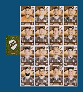 Pegatinas Club Atlético Platense Equipo Panini Fútbol Argentino 2025 - Imagen 1 de 2