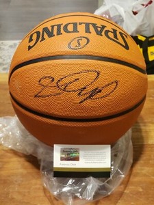 lebron james autographed ball