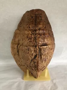 Whole Dry Coconut For Shell/Bowl/Coir/Husk Fiber - Picture 1 of 11
