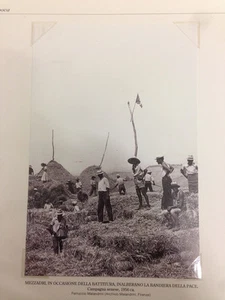 RIPRODUZIONE FOTO ALINARI MEZZADRI BATTITURA BANDIERA PACE CM 12X18 1956 (6) - Imagen 1 de 1