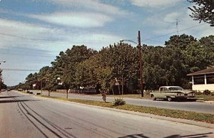 Looking North Along Bayard Ave Street View Rehoboth Beach, DE Vtg Postcard - Picture 1 of 2