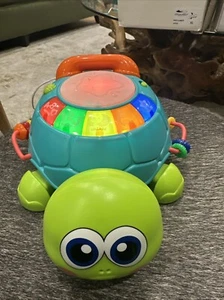 Giocattoli per Bambini da 6 a 12 Mesi, Giocattolo per Bambini che Striscia per 12-18 Mesi, Giocattolo Musicale Tartaruga - Foto 1 di 6