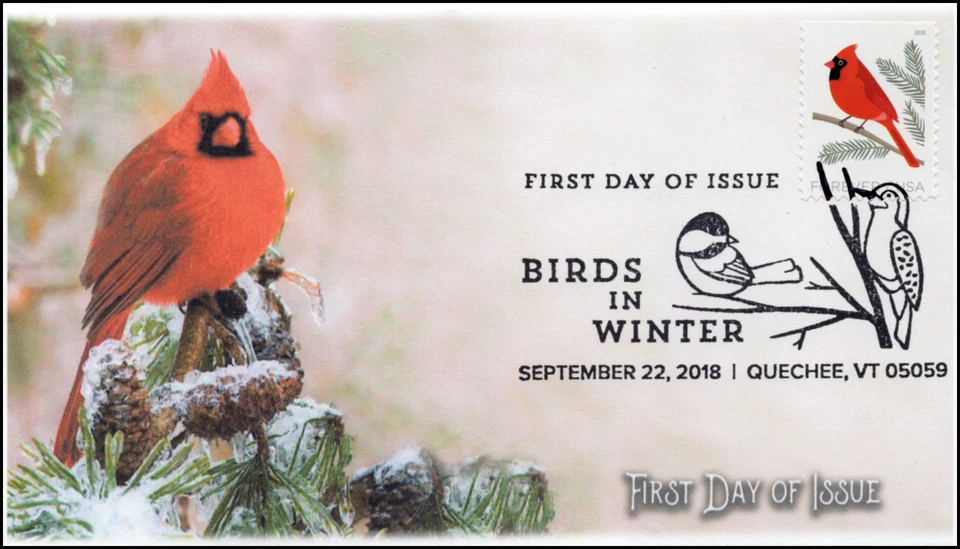 18-262, 2018, Birds in Winter, Pictorial Postmark, Cardinal, FDC - Image 1 of 1