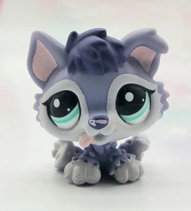 Littlest Pet Shop authentisch # 1810 grau lila sitzender Husky türkisfarbene Augen - Bild 1 von 4