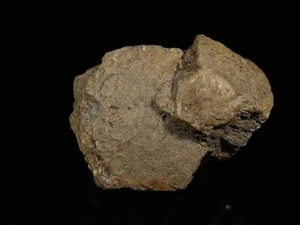 MAGNESITE from Styria, Austria * GREAT THUMBNAIL CRYSTAL * 2,5 cm - Picture 1 of 2