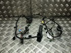 AUDI R8 4S GEN 2 2015 ONWARDS DOOR WIRING LOOM 4S8971029G - DRIVER SIDE