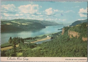 Aerial View Columbia River Gorge Oregon Continental Postcard - Picture 1 of 2