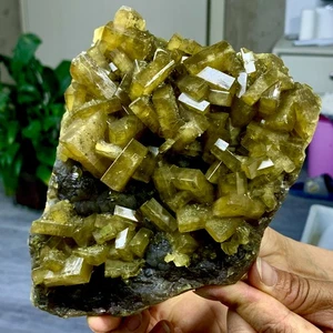 3.06LB Shiny Golden Cuboid Barite Crystal Based on the Purple Spherical Fluorite - Picture 1 of 22