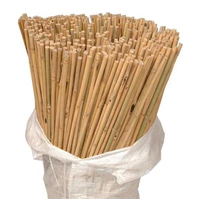 250 x 2ft Heavy Duty Bamboo Garden Canes Strong Thick Quality Plant Support - Image 1 of 2